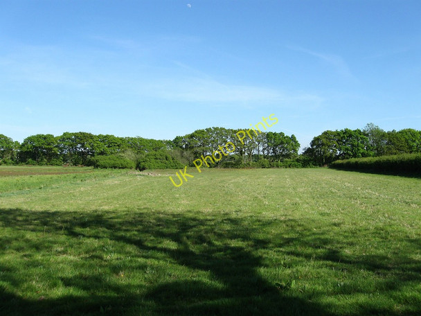 Photo 6"x4" The Croft Ripe c2010