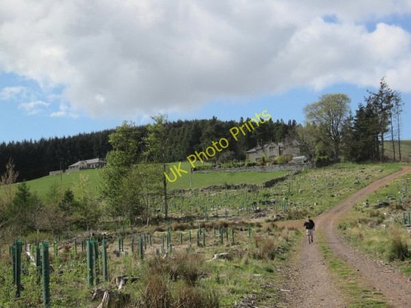 Photo 6"x4" Kennel Cottages, Biddlestone Clennell c2010