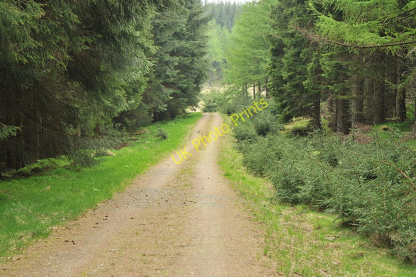 Photo 6"x4" Forest road in Clashindarroch Forest Cabrach\/NJ3827 c2010