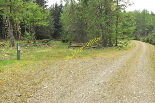 Photo 6"x4" Ski trail in Clashindarroch Forest Cabrach\/NJ3827 c2010