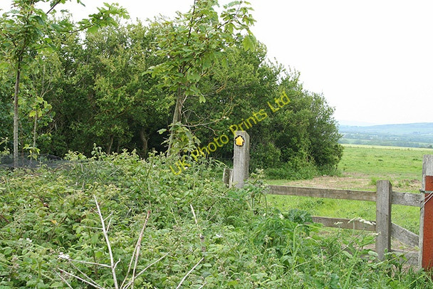 Photo 6"x4" Rhossili Community: footpath at Pylewell Pilton Green c2006