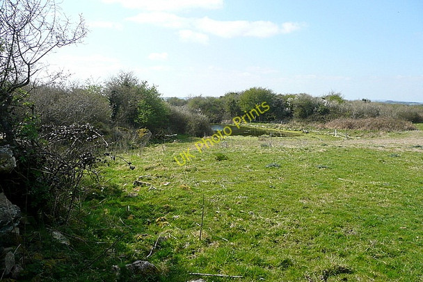 Photo 6"x4" Rough grazing at Rineanna Ballysteen c2010