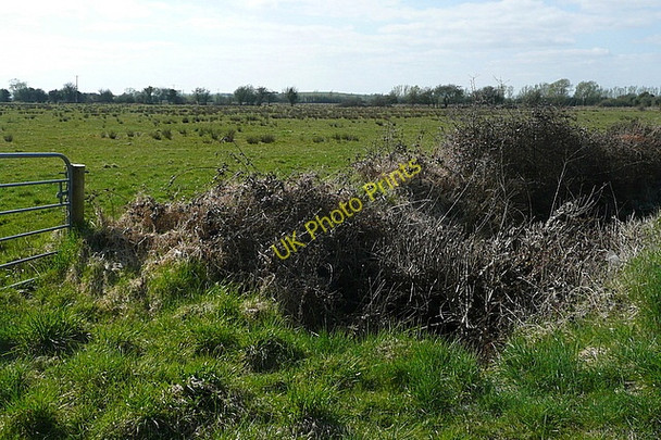 Photo 6"x4" Pasture at Ballysallagh East Newmarket on Fergus c2010 P1
