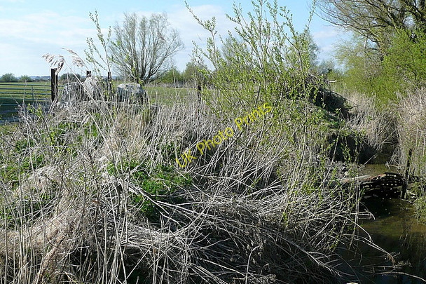 Photo 6"x4" Ditch at Ballygirreen Newmarket on Fergus c2010