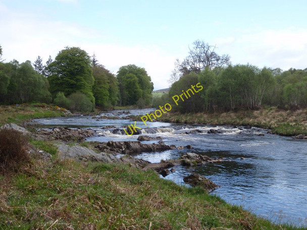 Photo 6"x4" River Shin Gruids c2010