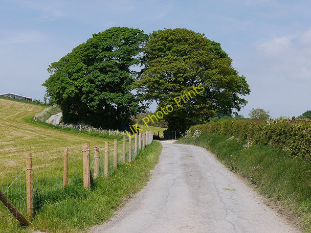 Photo 6"x4" Minor road heading north past Waunfergi Trefilan c2010