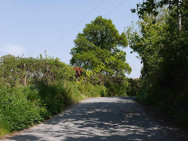 Photo 6"x4" Minor road west of Trefilan Trefilan c2010