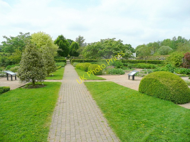 Photo 6"x4" Ryton Gardens Ryton-on-Dunsmore c2010