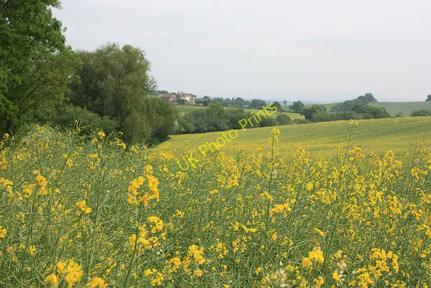 Photo 6"x4" A little-used footpath Aston Crews c2010