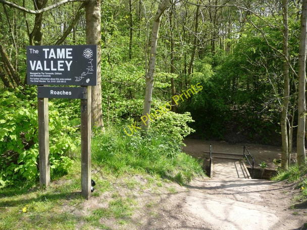 Photo 6"x4" Path into the woodland Mossley\/SD9701 c2010