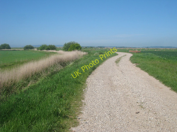 Photo 6"x4" Track near Scotney Court Farm Jury's Gap c2010