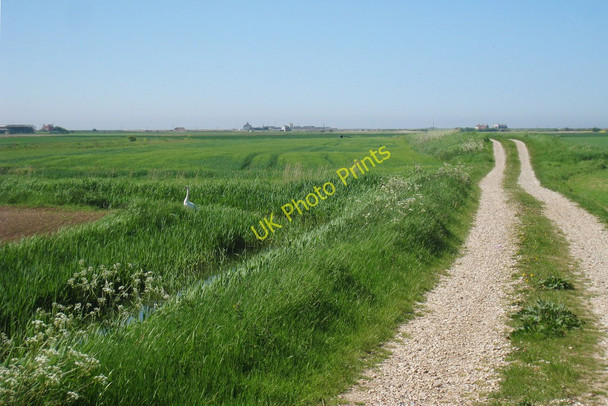 Photo 6"x4" Track by Scotney Petty Sewer Jury's Gap c2010