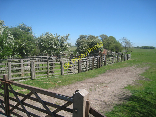 Photo 6"x4" Sheep Pens Lydd c2010