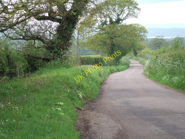 Photo 6"x4" Road to Exton Woodmanton\/SY0185 c2010