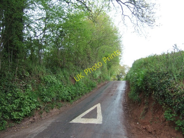 Photo 6"x4" Road leading north to Woodmanton Woodmanton\/SY0185 c2010