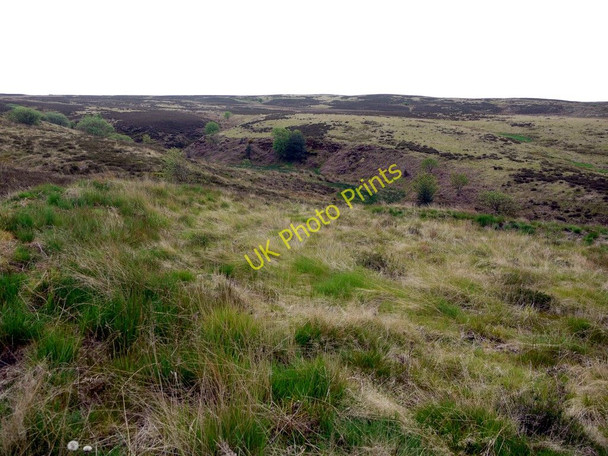 Photo 6"x4" Stoupe Beck, above Howdale Ravenscar c2010