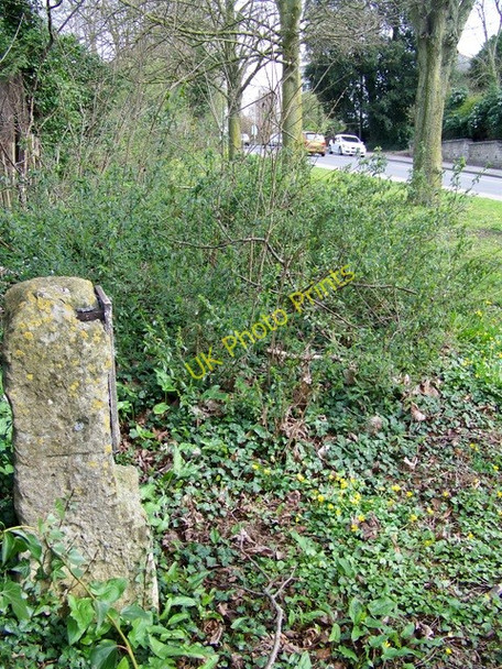 Photo 6"x4" Wide verge by the A4, Chippenham Chippenham\/ST9173 c2010