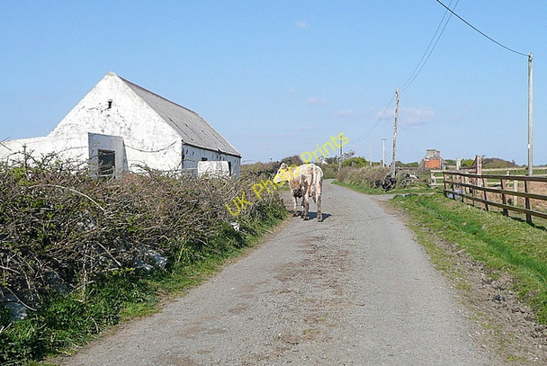 Photo 6"x4" This is my road Cross\/Q7951 c2010