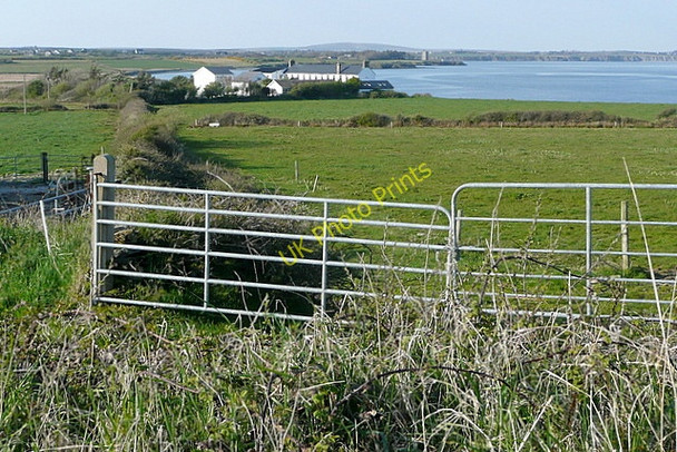 Photo 6"x4" Pasture at Kilcreaun Carrigaholt c2010