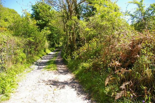 Photo 6"x4" Pembrokeshire Coast Path Bosherston c2010