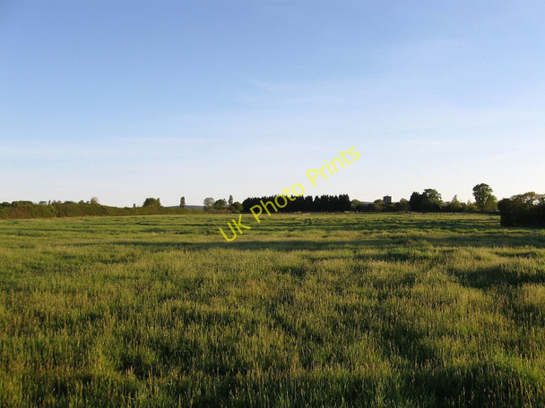 Photo 6"x4" Hodge Field Ripe c2010