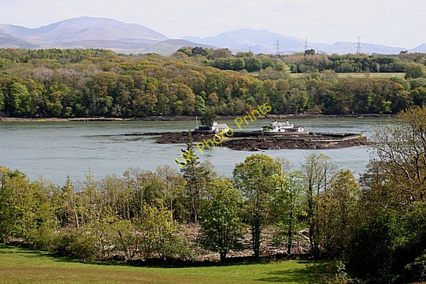 Photo 6"x4" Ynys Gored Goch Llanfair Pwllgwyngyll c2010