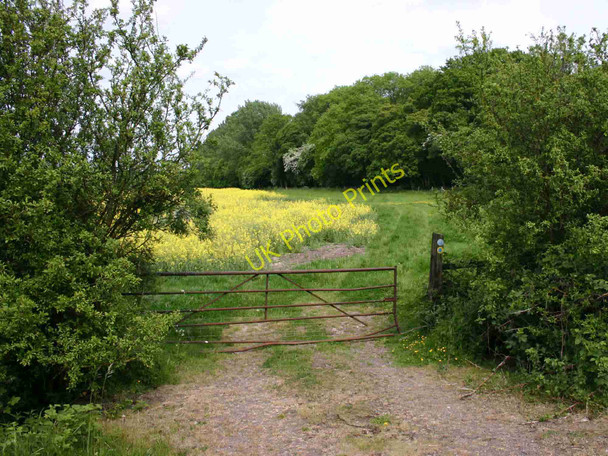 Photo 6"x4" Bridleway round Chesterton Wood from B4100 Chesterton Green c2010