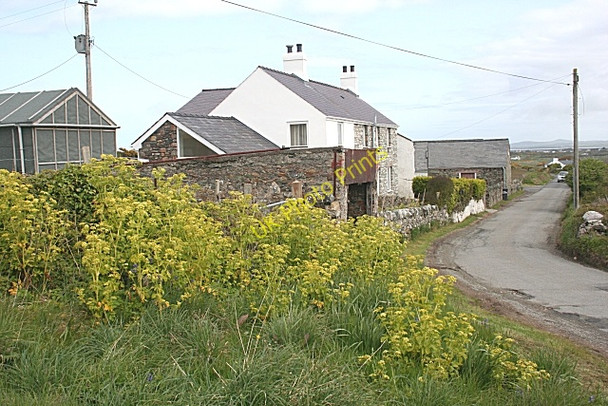 Photo 6"x4" House at Rhoscolyn Rhoscolyn c2010