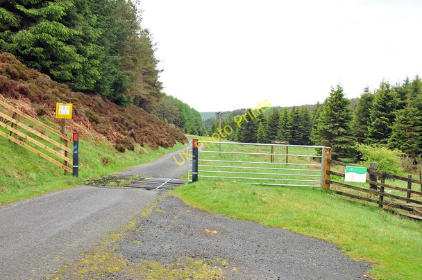 Photo 6"x4" Cattle grid on the road in Monynut Forest Saddle Hill\/NT6968 c2010