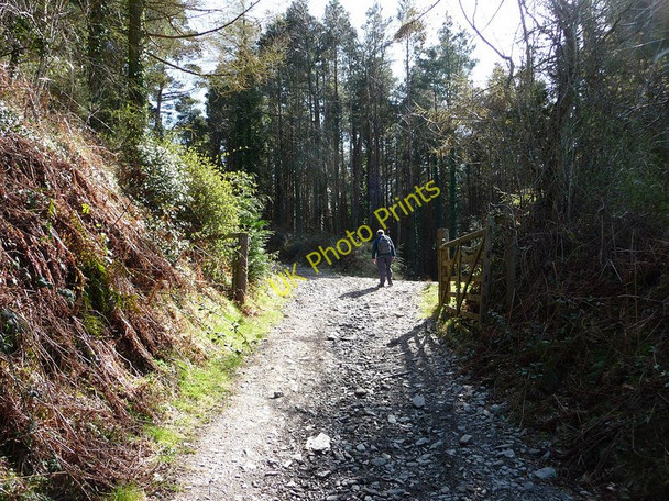 Photo 6"x4" Gate to the Ohio Plantation Sulby\/SC3894 c2010
