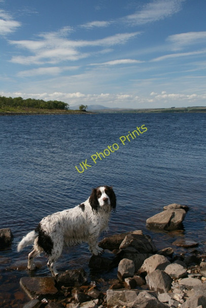 Photo 6"x4" A cirrus formation over Loch Shin Lairg Muir c2010