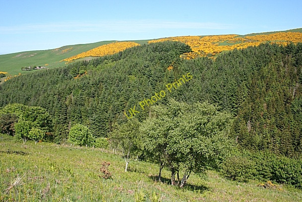 Photo 6"x4" Litterty Hill Pennan c2010