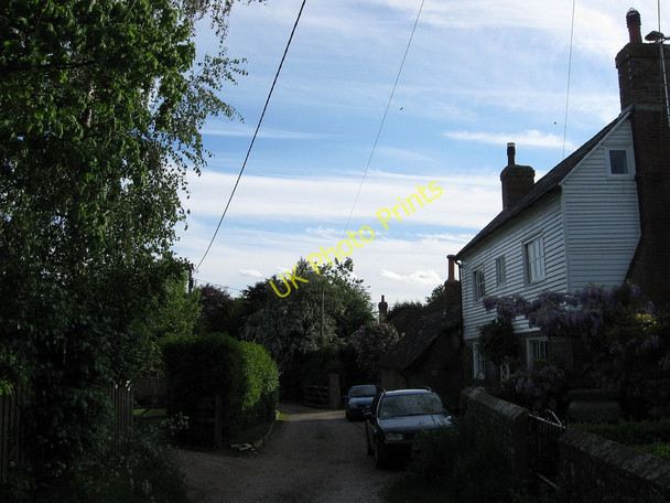 Photo 6"x4" Channers Lane Ripe c2010