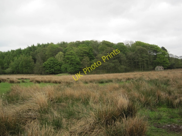 Photo 6"x4" Lodges Plantation and Field Barn Low Row\/NY5863 c2010