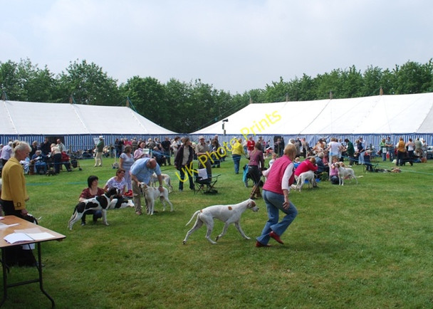 Photo 6"x4" County Show Hopton Heath c2010
