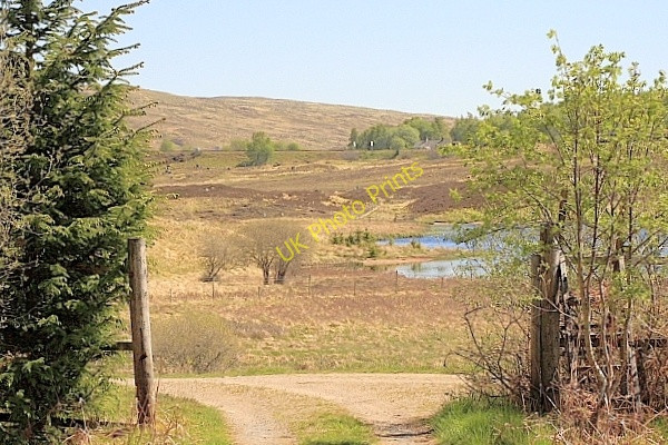 Photo 6"x4" Forest Gate, Near Cruach Cottage Dubh Lochan\/NN4157 c2010