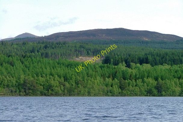 Photo 6"x4" Loch Rannoch Shoreline Loch Rannoch c2010