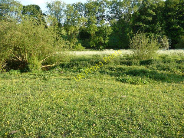 Photo 6"x4" Brockadale meadow Kirk Smeaton c2010
