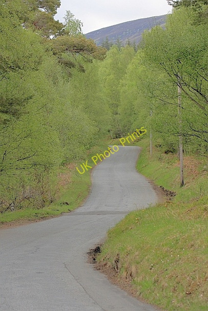 Photo 6"x4" Road Along the South Bank of Loch Rannoch Kinloch Rannoch c2010