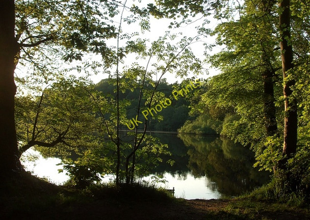 Photo 6"x4" Blake Mere Spunhill c2010