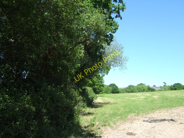 Photo 6"x4" Field and hedge to east of Hayne Lane, Honiton Honiton\/ST1600 c2010