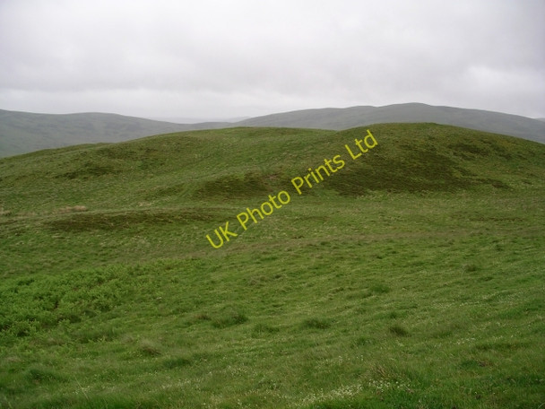 Photo 6"x4" Deuchar Hill, Yarrow Yarrow\/NT3527 c2006