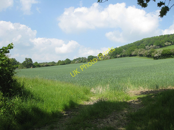 Photo 6"x4" Arable field, west of Ridge Hill Sollers Hope c2010