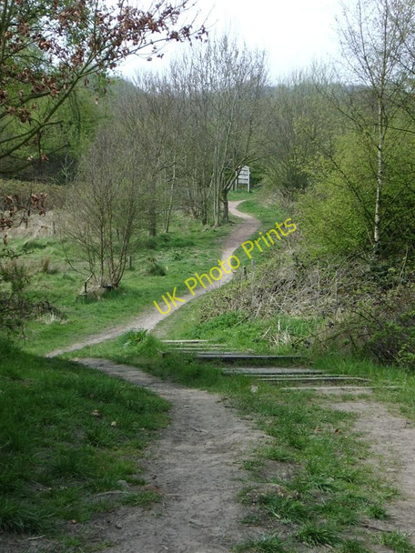 Photo 6"x4" Rough Wood Country Park Bloxwich c2010