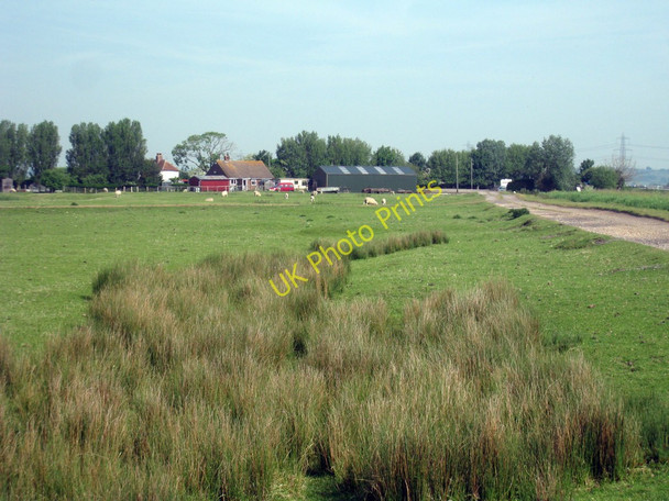 Photo 6"x4" Field at Creek End East Guldeford c2010