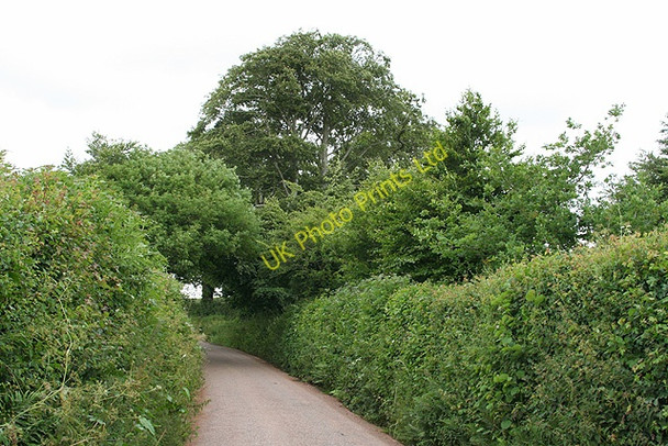 Photo 6"x4" Tiverton: near Landrake Cove\/SS9519 c2006