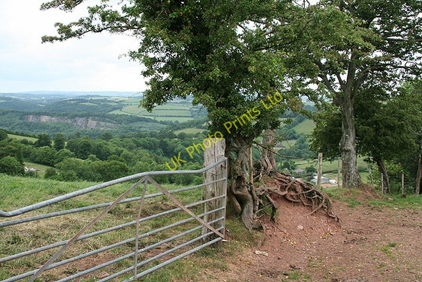 Photo 6"x4" Tiverton: near Ewings Cove\/SS9519 c2006