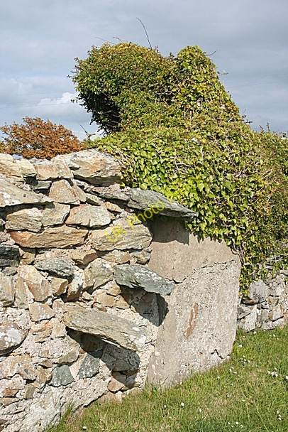 Photo 6"x4" Stile and Ivy Rhoscolyn c2010