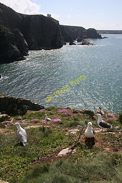 Photo 6"x4" The View from South Stack Goferydd c2010