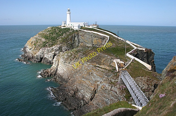 Photo 6"x4" Ynys Lawd (South Stack) Goferydd c2010